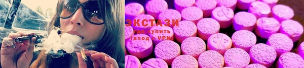гидра Арсеньев