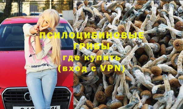 прущая мука Армянск